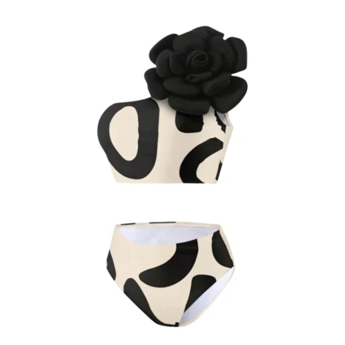 Shein Two-Pieces Bikini Highrise Swimwear