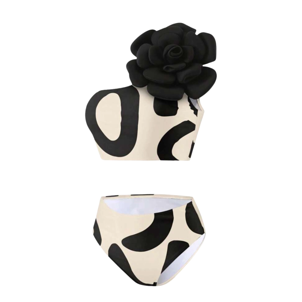 Shein Two-Pieces Bikini Highrise Swimwear